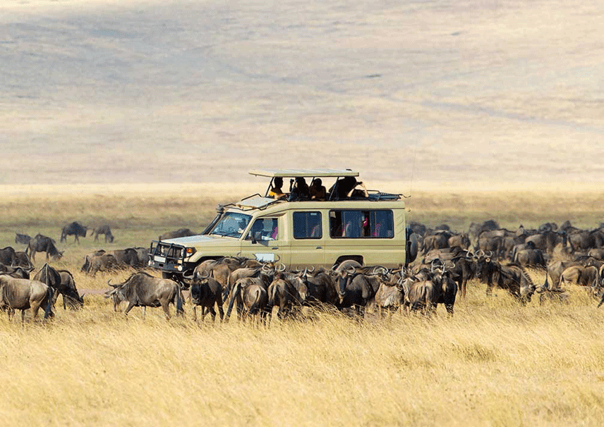 choosing-a-safari-for-uganda-kenya-and-rwanda
