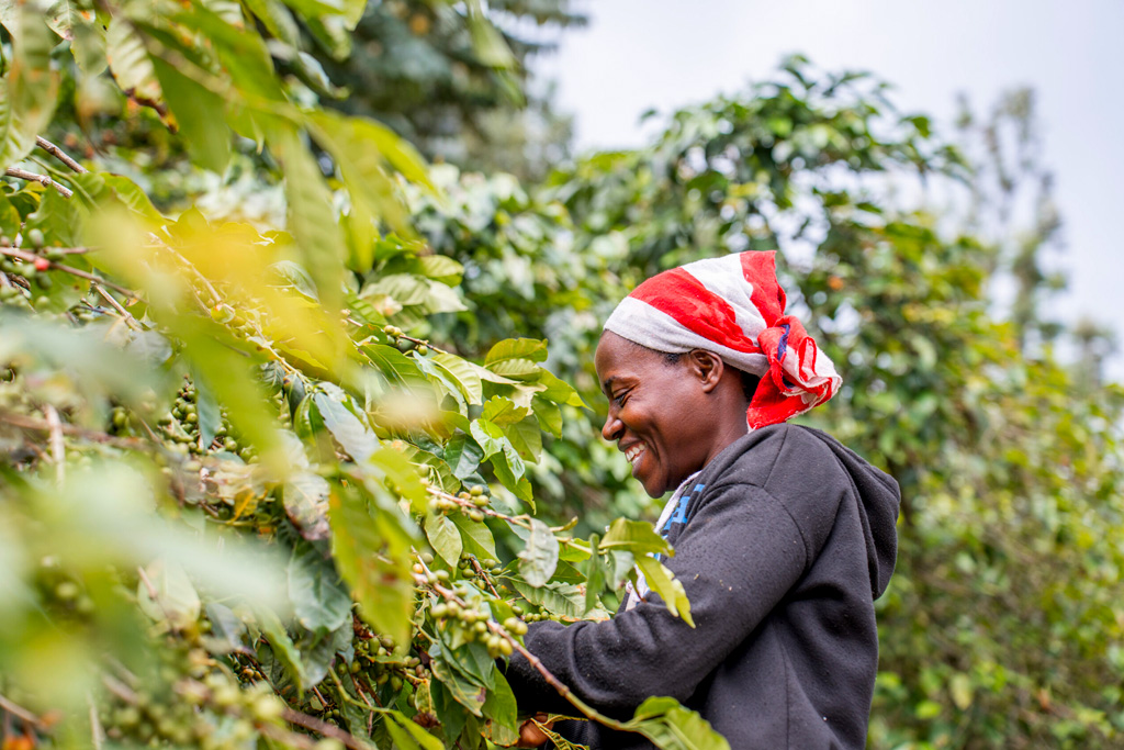 groundbreaking-coffee-tours-in-rwanda