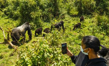 12-days-best-of-uganda-rwanda-safari