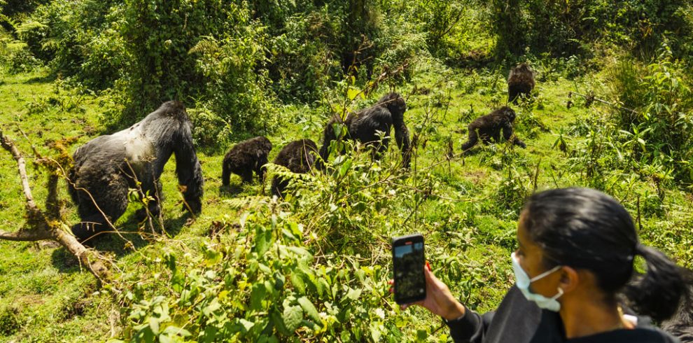 12-days-best-of-uganda-rwanda-safari
