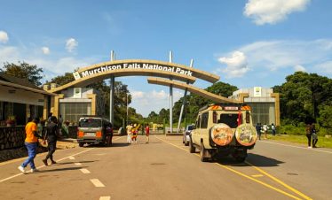 3-days-murchison-falls-national-park-safari