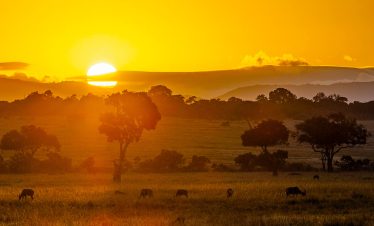 4-days-kenya-wildlife-safari-holiday