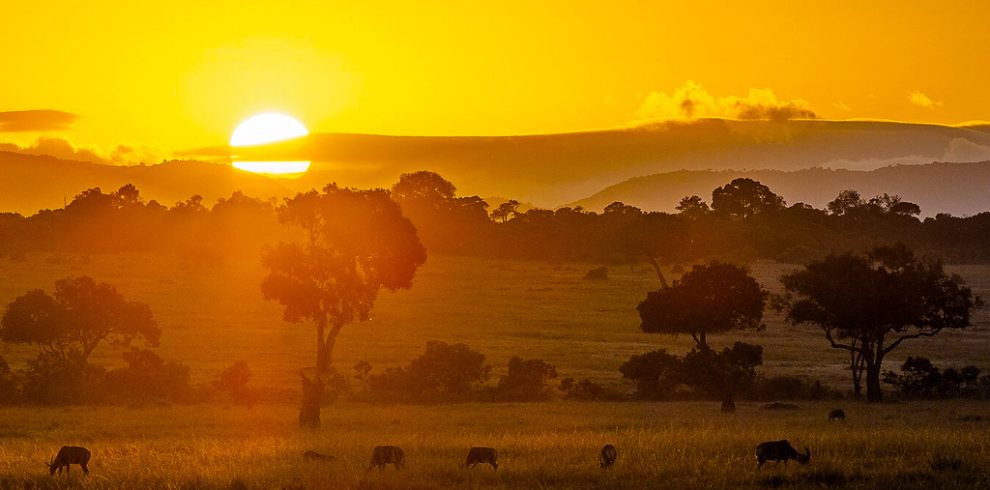 4-days-kenya-wildlife-safari-holiday