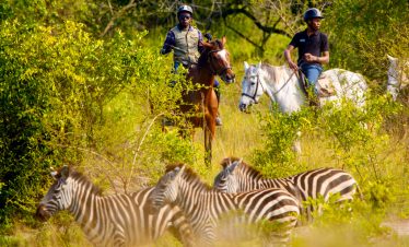 5-days-uganda-wildlife-gorilla-safari